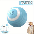Interactive Rolling Cat Toy