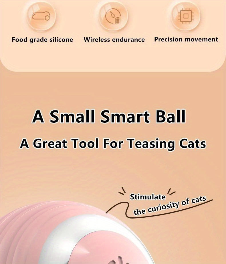 Interactive Rolling Cat Toy