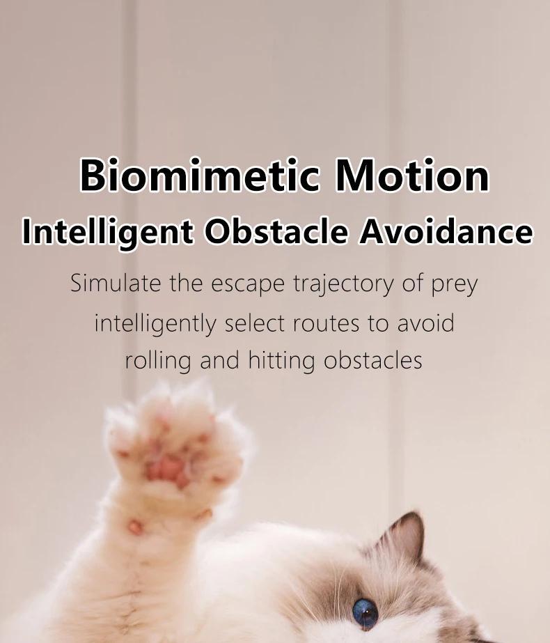 Interactive Rolling Cat Toy