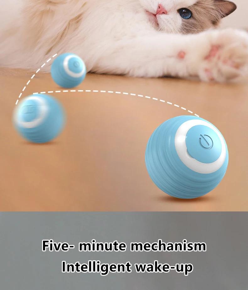 Interactive Rolling Cat Toy