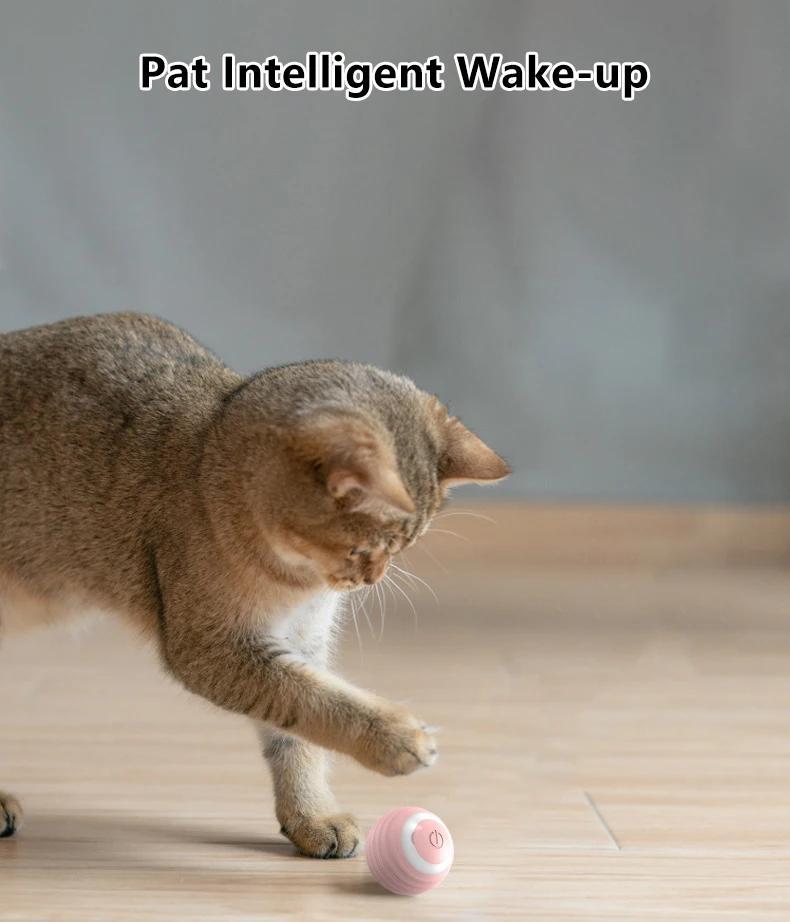 Interactive Rolling Cat Toy