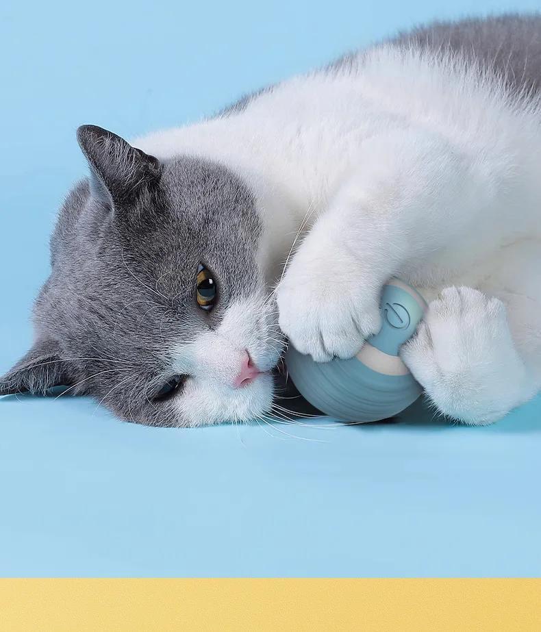 Interactive Rolling Cat Toy