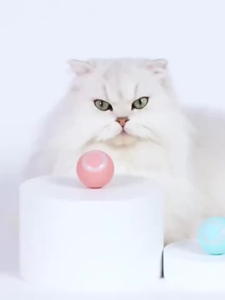 Interactive Rolling Cat Toy