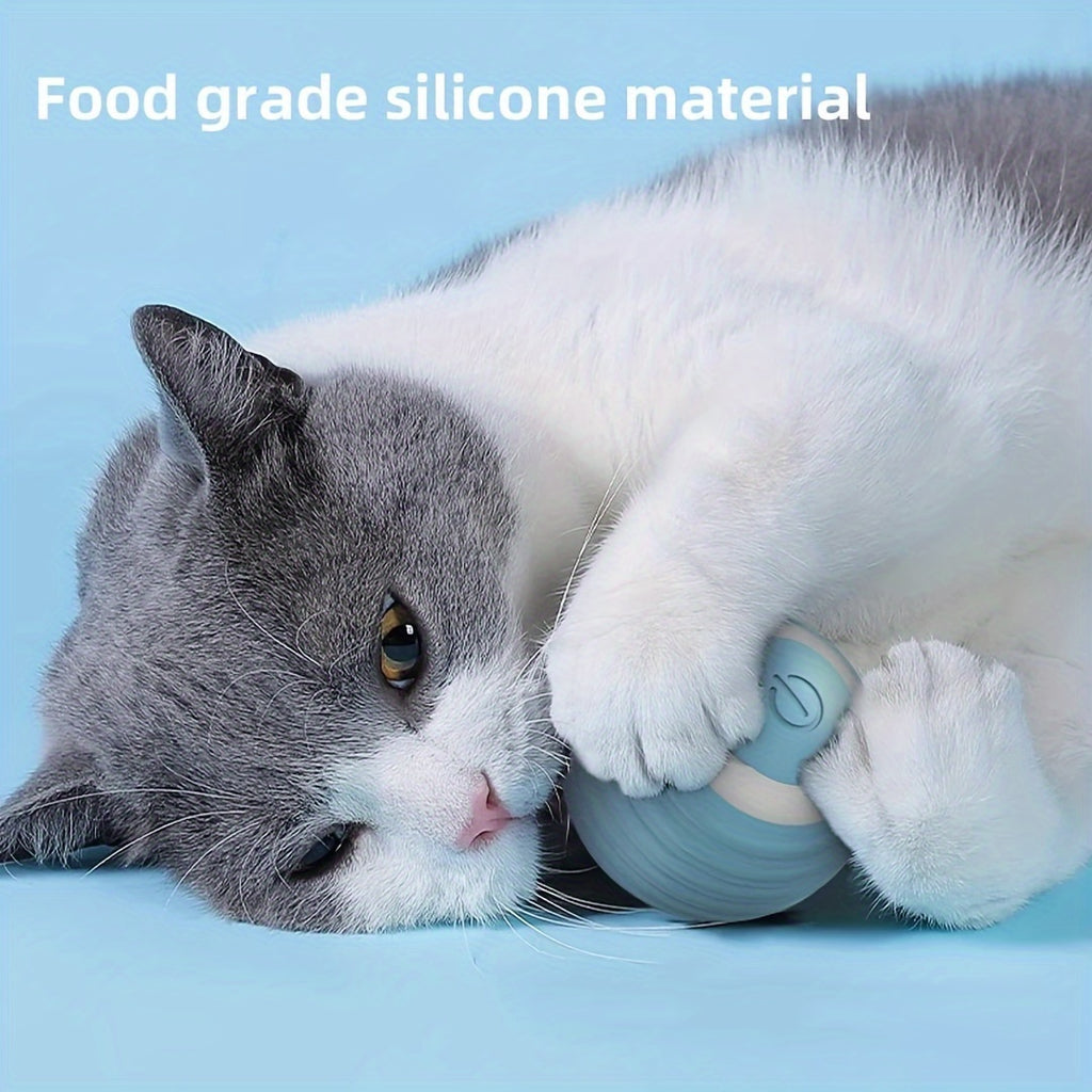 Interactive Rolling Cat Toy