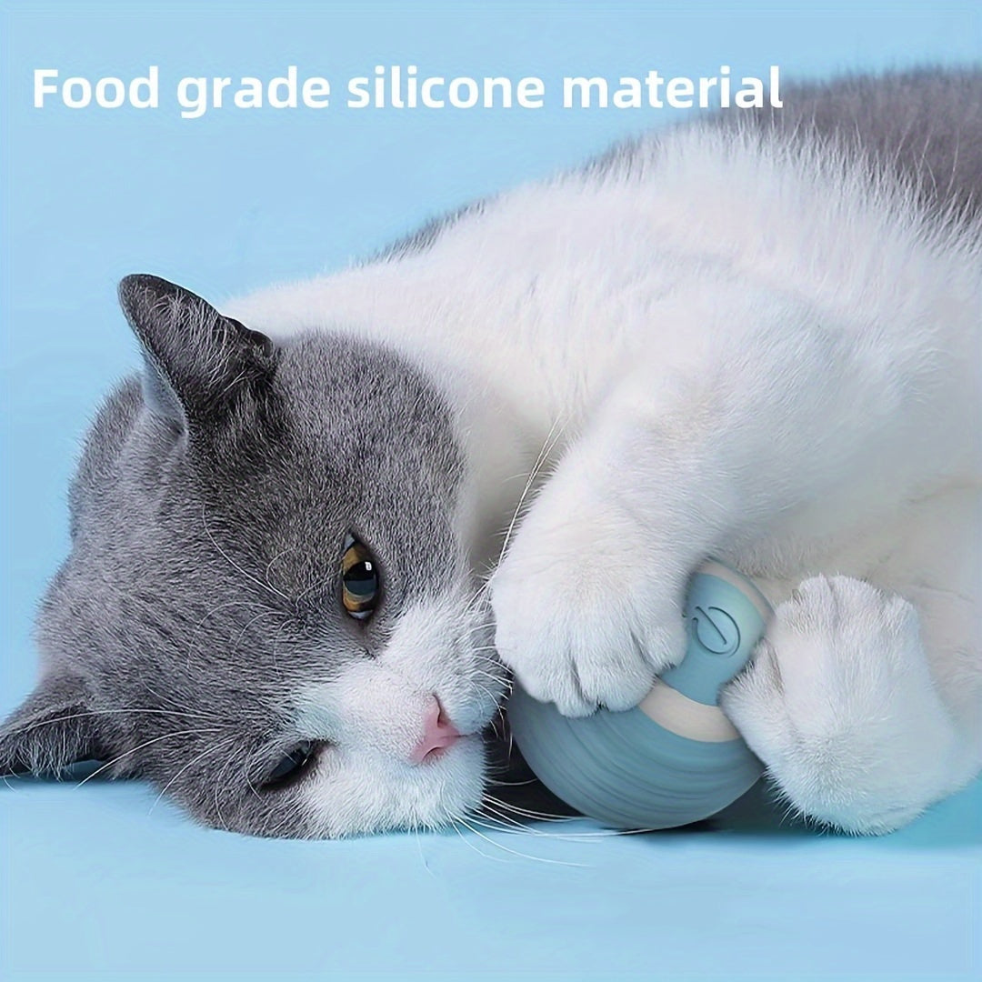 Interactive Rolling Cat Toy
