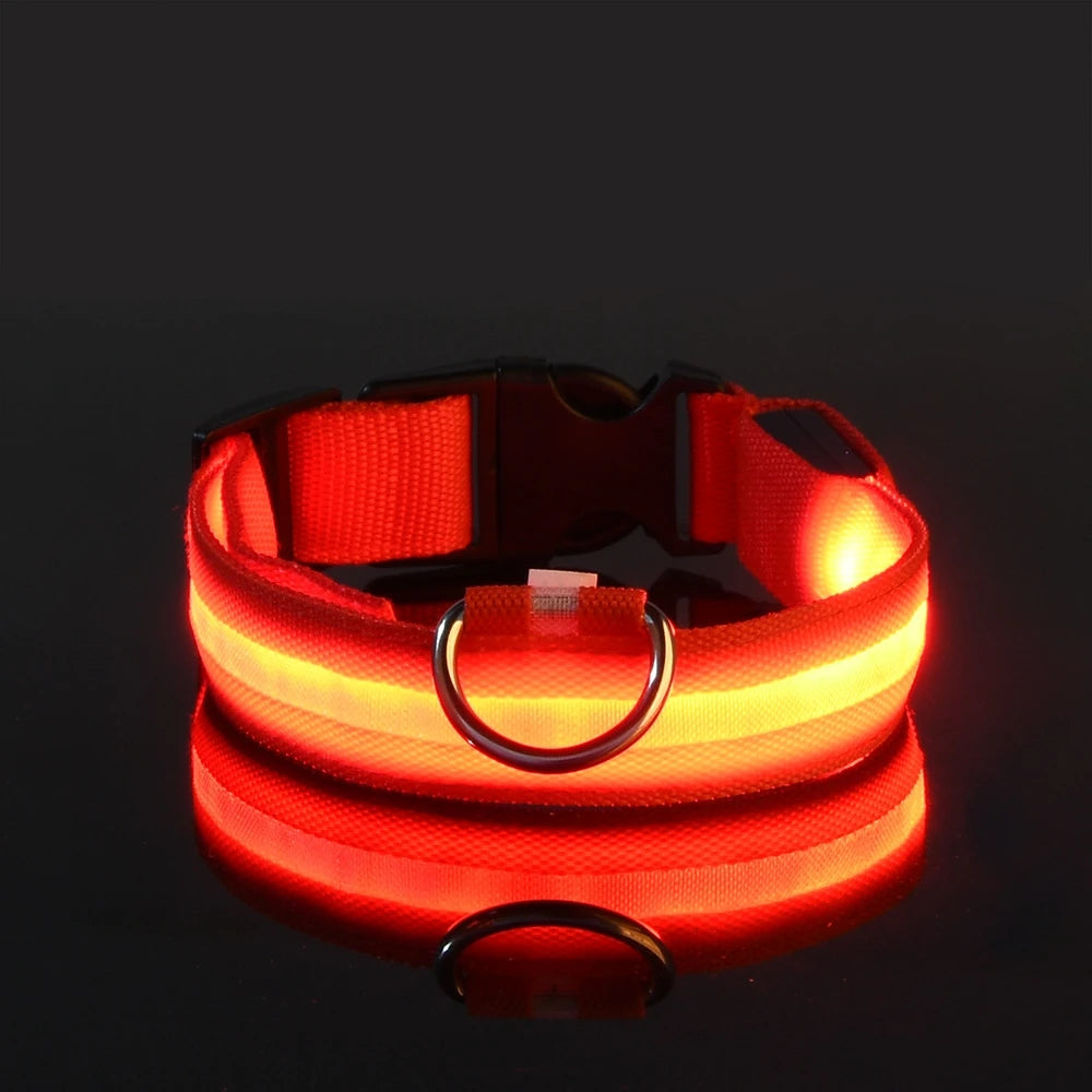 LED Safety Dog Collar
