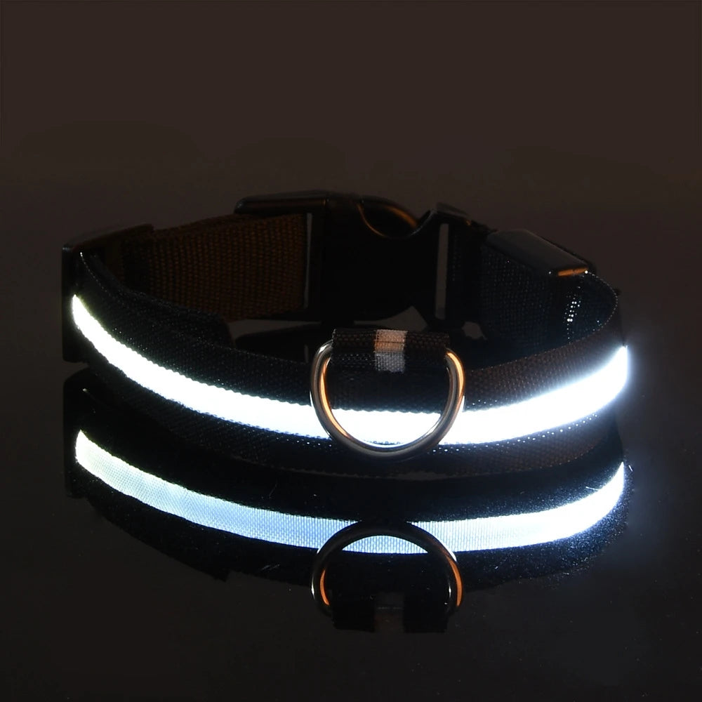 LED Safety Dog Collar