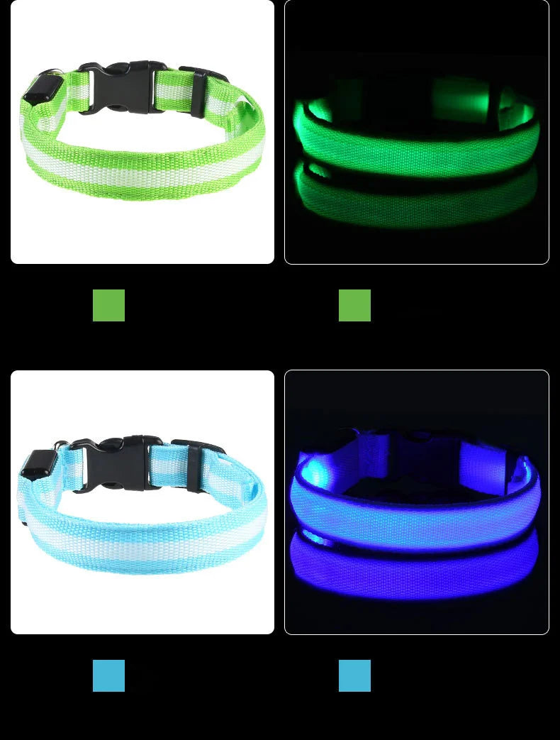 LED Safety Dog Collar