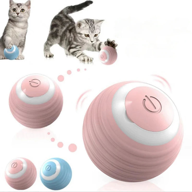 Electric Cat Spin Ball