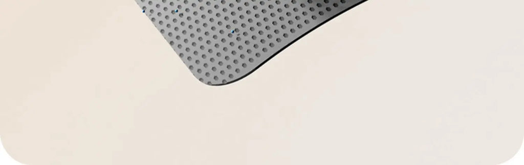 Cat Litter Mat 2-Layer