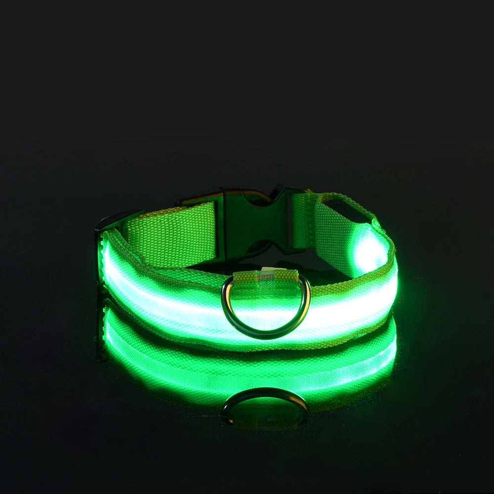 LED Safety Dog Collar