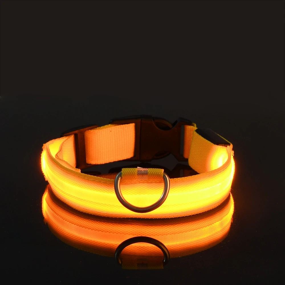LED Safety Dog Collar