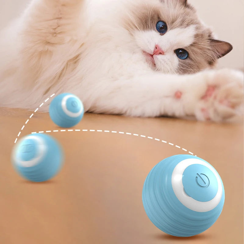 Electric Cat Spin Ball