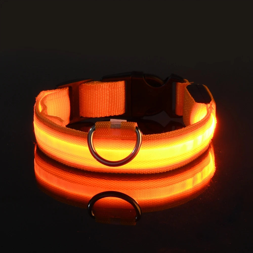 LED Safety Dog Collar