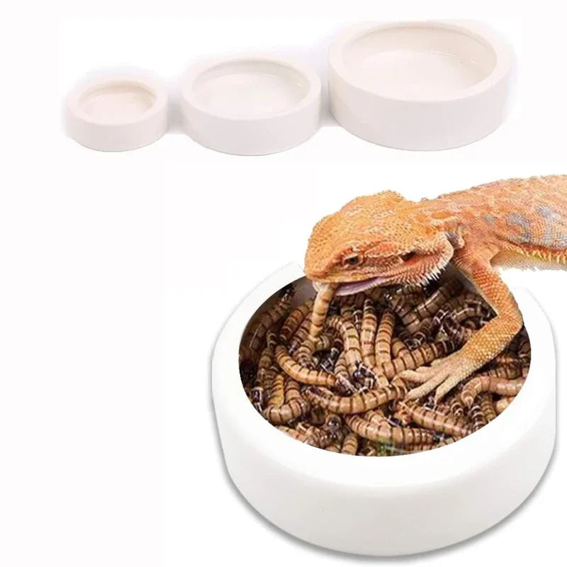 Automatic Pet Water Dispenser