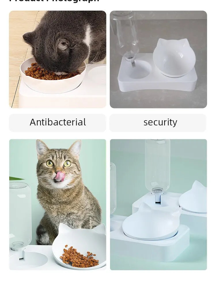 Dual-Purpose Pet Bowl - Tilted Design for Cervical Protection
