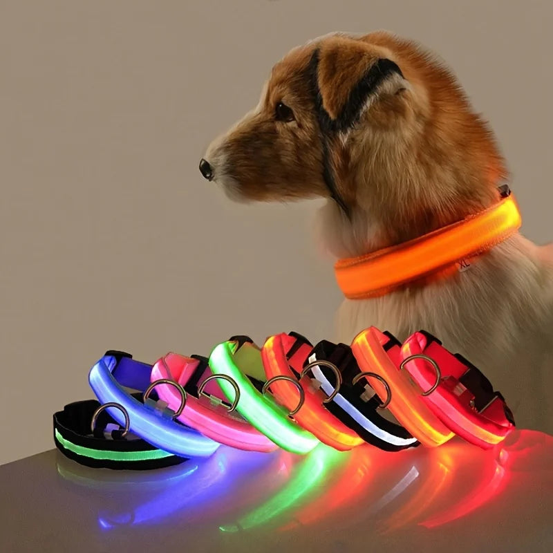 LED Safety Dog Collar