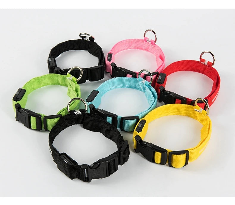 LED Safety Dog Collar