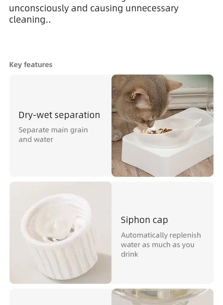 Dual-Purpose Pet Bowl - Tilted Design for Cervical Protection