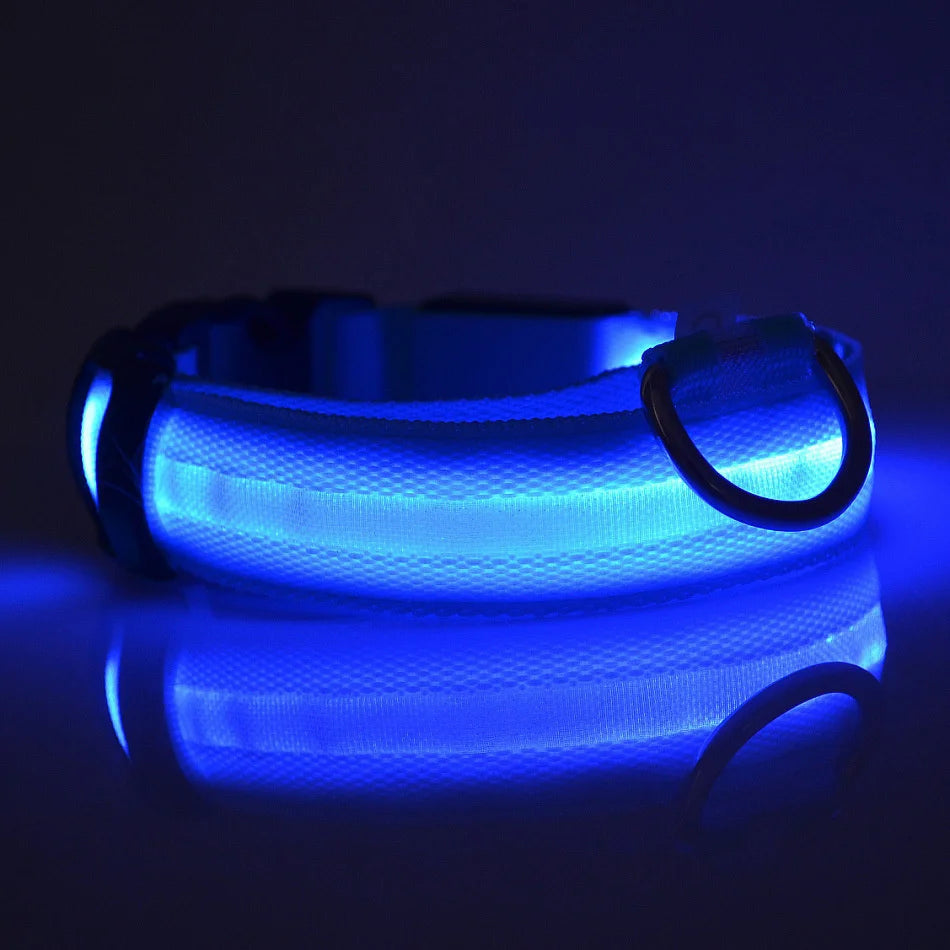 LED Safety Dog Collar