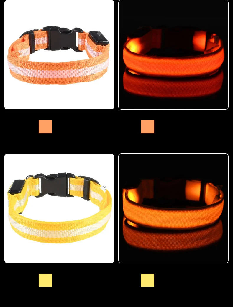 LED Safety Dog Collar