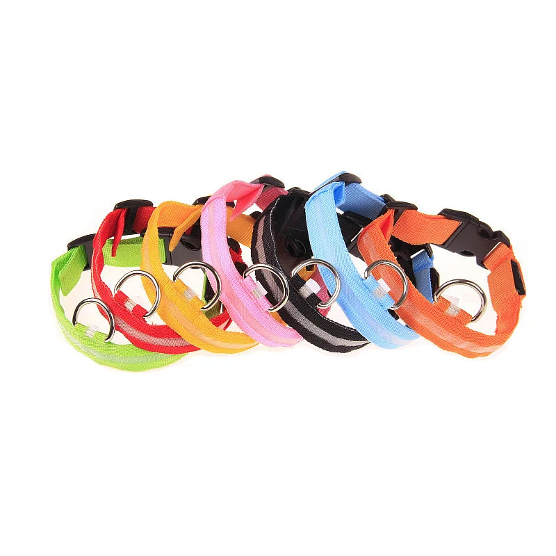 LED Safety Dog Collar