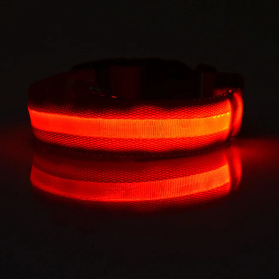 LED Safety Dog Collar