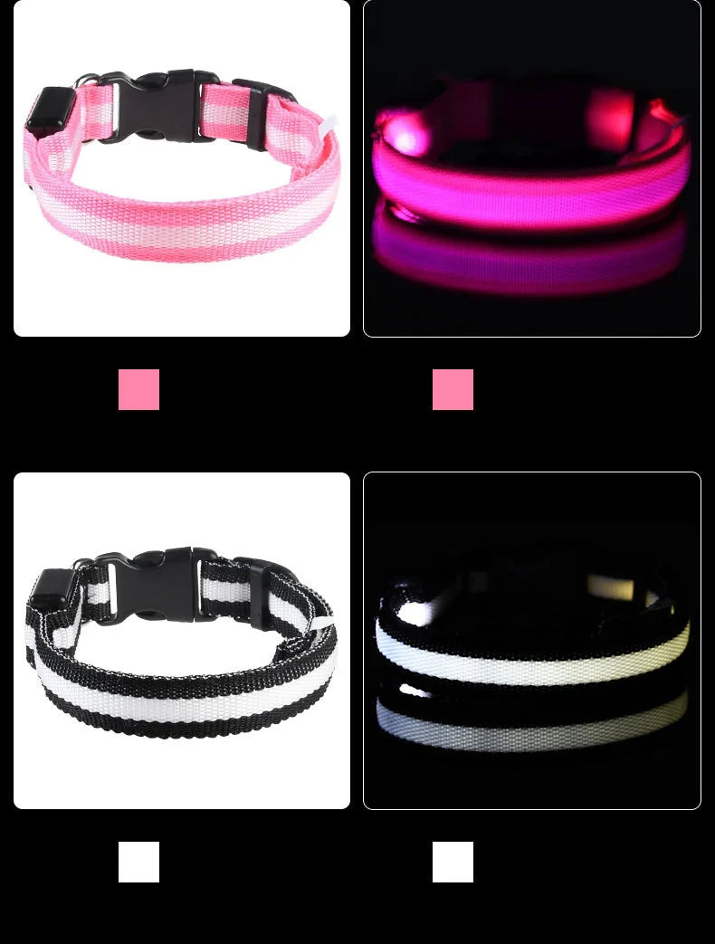 LED Safety Dog Collar