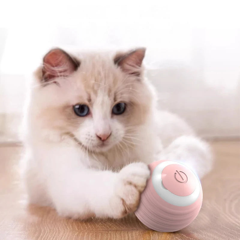 Electric Cat Spin Ball