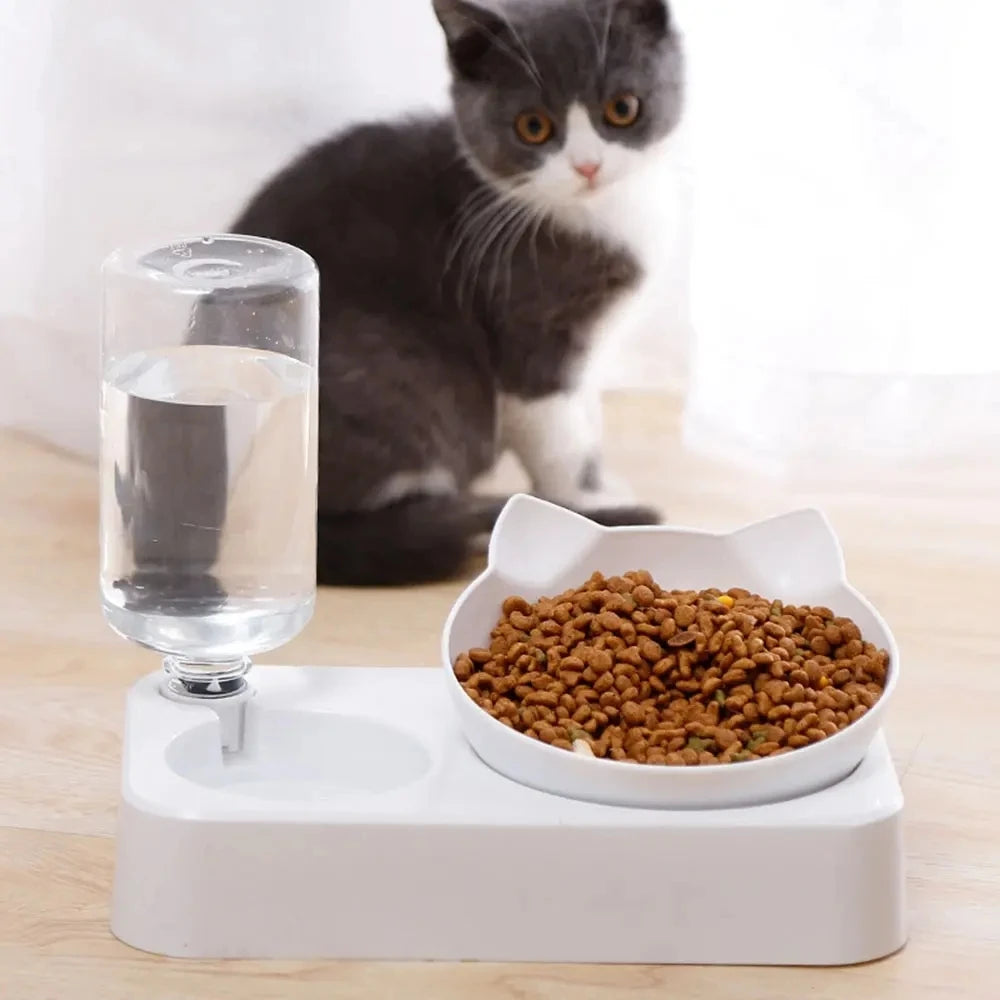 Dual-Purpose Pet Bowl - Tilted Design for Cervical Protection