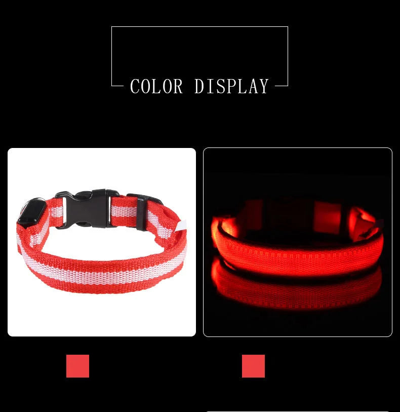 LED Safety Dog Collar