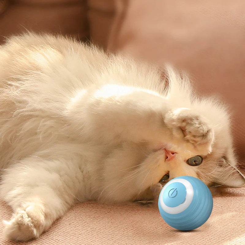 Electric Cat Spin Ball