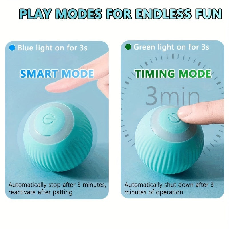 Interactive Rolling Cat Toy